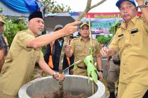 Pemko Padang dan PTP Kemenhan Tanam Pohon Sukun Untuk Penghijauan