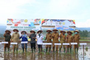 Wakil Gubernur Nasrul Abit Programkan Tanam Padi Dua Kali Setahun di Nagari Talu