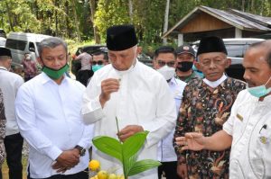 Gubernur Sumbar serukan masyarakat tanam kelapa