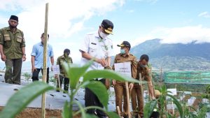 Gubernur Sumbar Canangkan Nagari Taxus di Gunung Singgalang