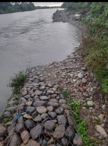 Runtuhnya Bronjong Penahan Tebing Sungai Batang Tapan, Resahkan Warga Tanjung Gobah