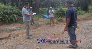 Seorang Wanita Ditemukan Tewas di Perkebunan PT BPP Air Balam Pasbar