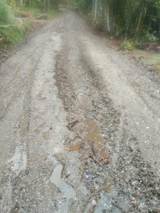 Proyek Pembangunan Jalan “Siluman” PT Bunga Mas Mulai Amblas, Pekerjaan Asal-asalan