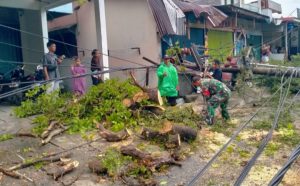 Cepat Diatasi, Babinsa Jati Bersama Warga Gotong Royong Bersihkan Potongan Batang Pohon yang Tumbang
