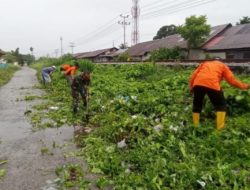 Babinsa Koramil 02/Padang Timur Bersama Warga Kompak Bersihkan Rumput yang Tutupi Jalan