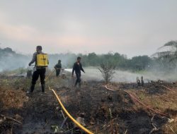 Tim Gabungan Damkar Dharmasraya Padamkan Api Di Kebun Sawit Kecamatan Sungai Rumbai