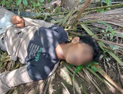 Breaking News!Sesosok Mayat Remaja Ditemukan di Perkebunan Warga