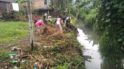 Babinsa Parak Gadang Timur Bersama Warga Binaan Laksanakan Karya Bakti Bersihkan Saluran Air dari Rumput Liar