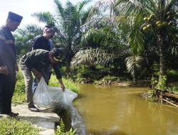 Tebar Benih Ikan Di Batang Gunung, Risnawanto Minta Masyarakat Jaga Ekosistem Sungai