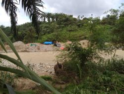 Puluhan Tambang Emas Diduga Ilegal Beroperasi di Aliran Sungai Batahan