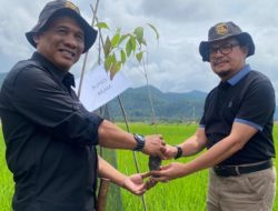 HUT Injourney ke 2, PT Angkasa Pura II Tanam 400 Bibit Pohon Tebuya di Simarasok Kabupaten Agam