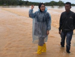 Penanganan Banjir Di Sumbar, Lisda Hendrajoni Koordinasi Dengan Kemensos dan BNPB 