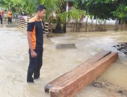 Banjir meluas di Pesisir Selatan diduga Akibat Illegal Logging