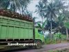 Warga Koto Sawah Resah, Truk Peron Melebihi Kapasitas Lalu Lalang di Jalan Desa