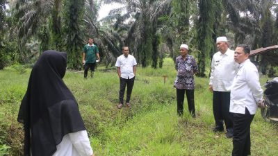 Bupati Hamsuardi Tinjau Lahan Pembangunan Sekolah Dasar di Manggonang