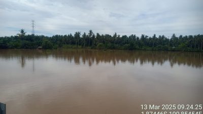 Banjir Rendam Sawah di Nagari Linggo Sari Baganti, Irigasi Jadi Penyebab Utama
