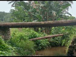 Jembatan Usahatani di Pesisir Selatan Butuh Perhatian Serius