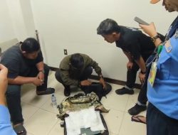 BNNP Sumbar Gagalkan Pengiriman 2 Kg Sabu di BIM, Koordinator Kurir Ditangkap di Aceh
