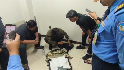 BNNP Sumbar Gagalkan Pengiriman 2 Kg Sabu di BIM, Koordinator Kurir Ditangkap di Aceh