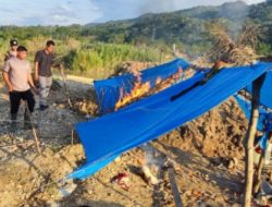 Gelar Operasi Serentak Tindak PETI, Polda Sumbar Temukan Bekas Galian di Tiga Kabupaten