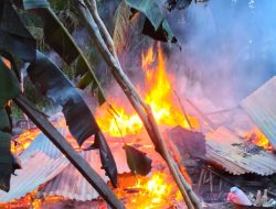 Kebakaran Landa Dapur Warga di Ranah Pesisir, Api Berkobar Saat Subuh