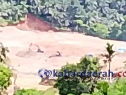 PETI di Pasaman Barat Disorot, BAPERMEN Sumbar Temukan Aktivitas Masif dan Terorganisir