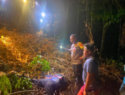 Pekerja Kebun Tewas Diduga Terluka Chainsaw di Pesisir Selatan