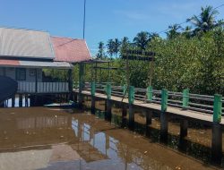 Ribuan Bibit Mangrove dan Puluhan Tukik Disiapkan untuk Aksi Konservasi di Pesisir Selatan